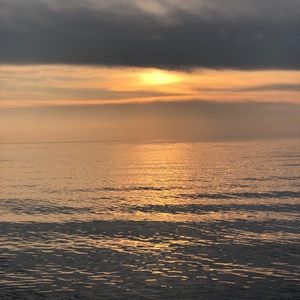 Meet your Posher, Alexia